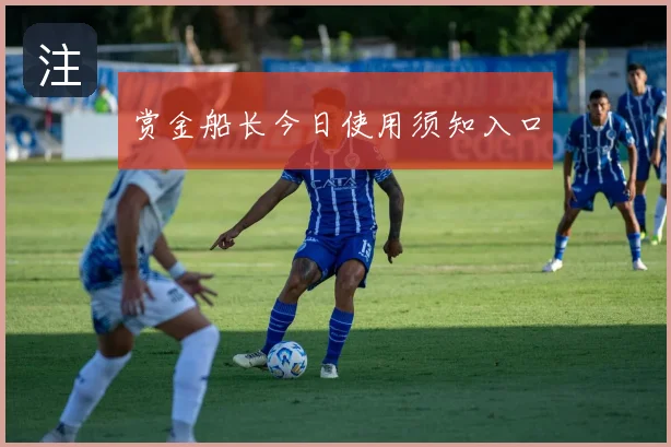 赏金船长今日使用须知入口