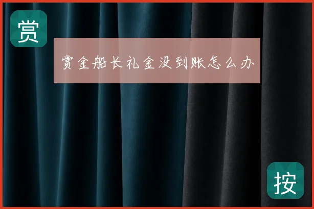 赏金船长礼金没到账怎么办